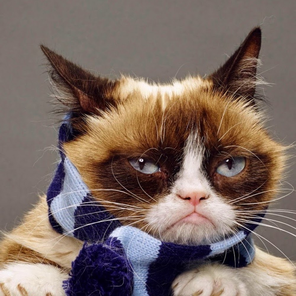 Meet your Posher, O.